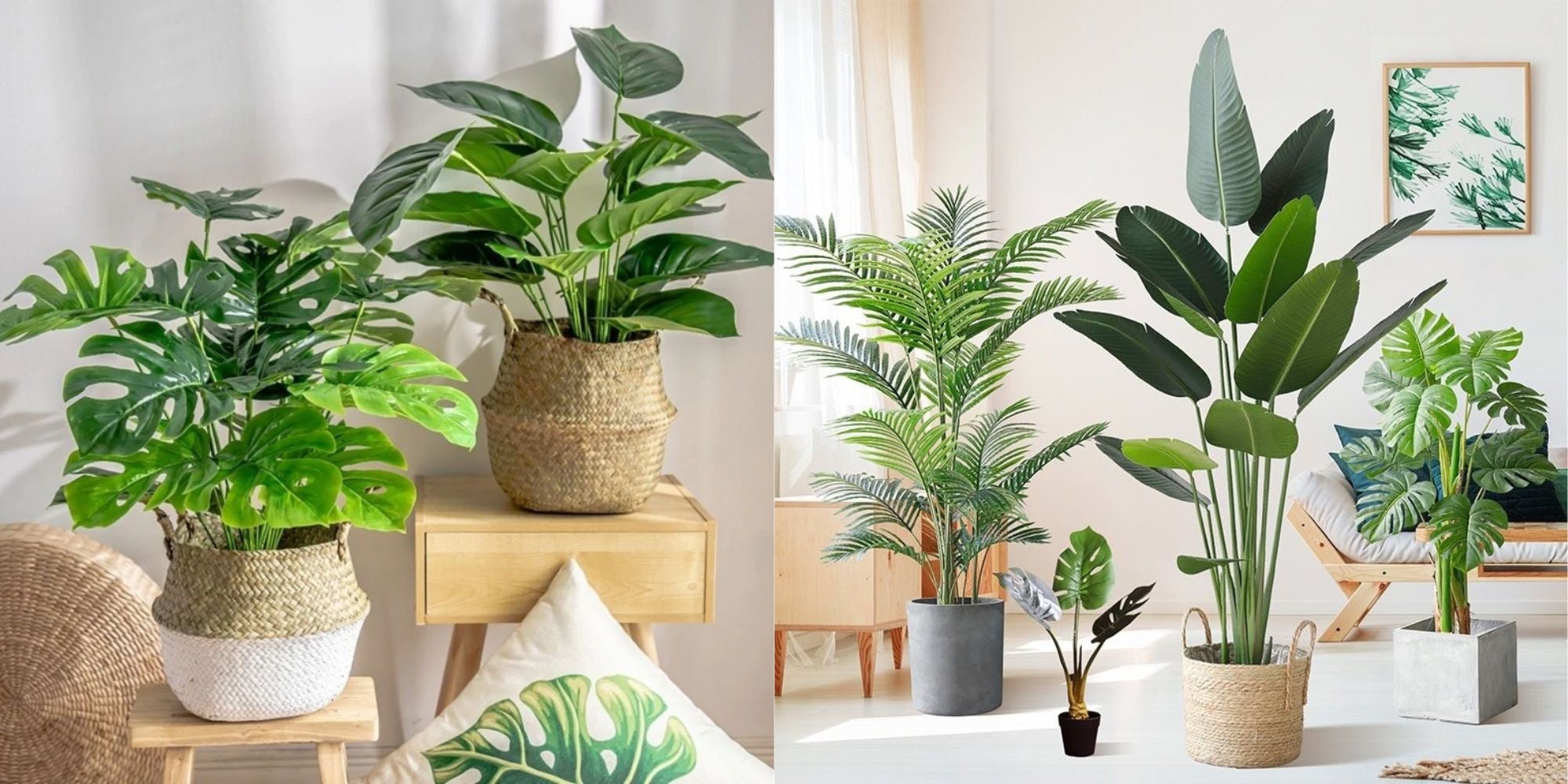 Plantes Artificielles