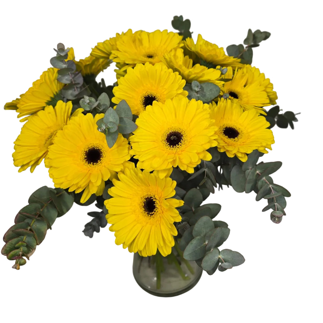 Bouquet Mono-Fleur de Gerberas Jaunes