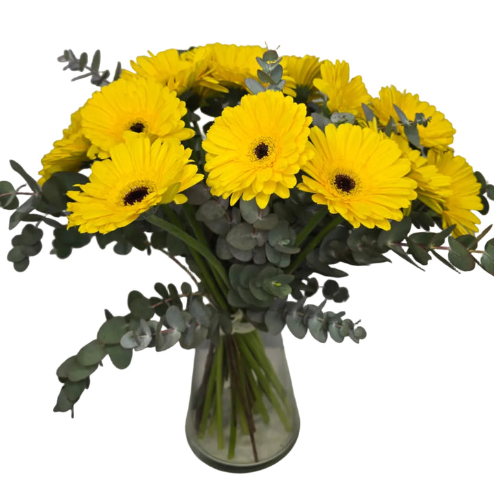 Bouquet de 20 Gerberas Jaunes