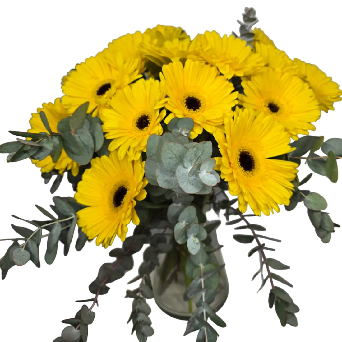 Bouquet Mono-Fleur de Gerberas Jaunes