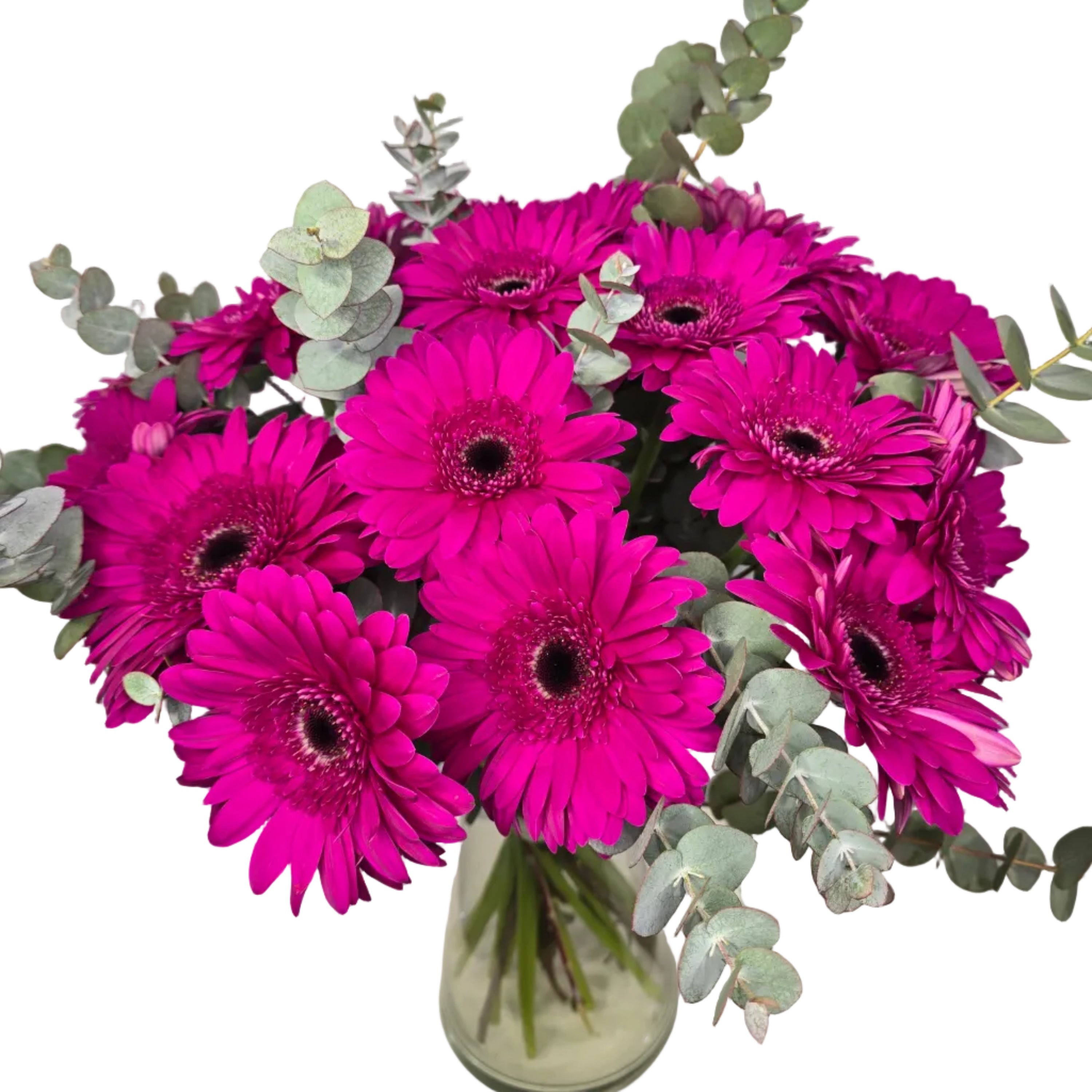 Bouquet Mono-Fleur de Gerberas Fuchsias