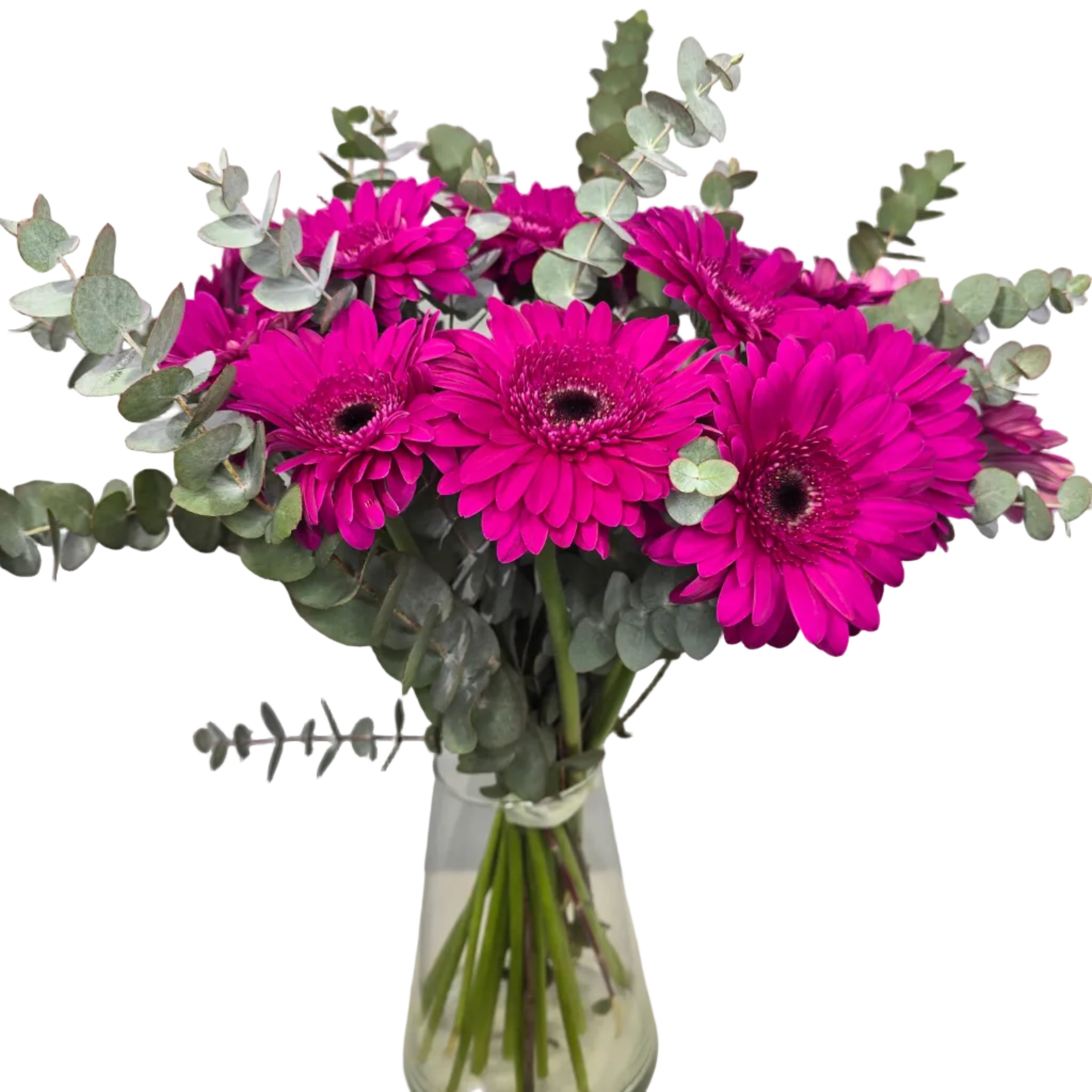 Bouquet Mono-Fleur de Gerberas Fuchsias
