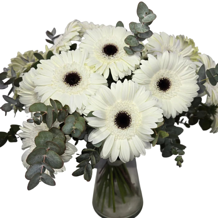 Bouquet de 20 Gerberas Blancs