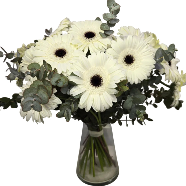 Bouquet de 20 Gerberas Blancs