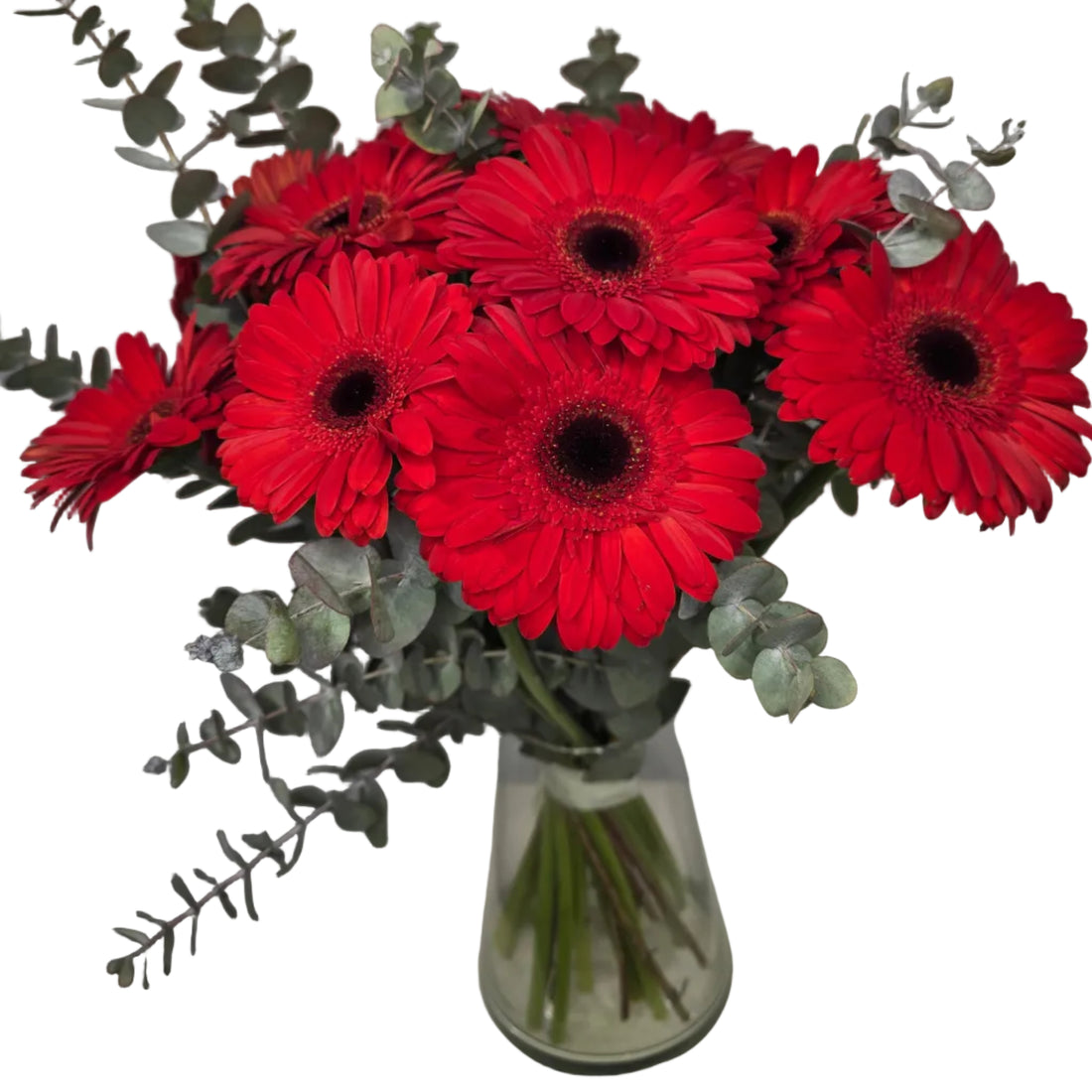 Bouquet Mono-Fleur de Gerberas Rouges
