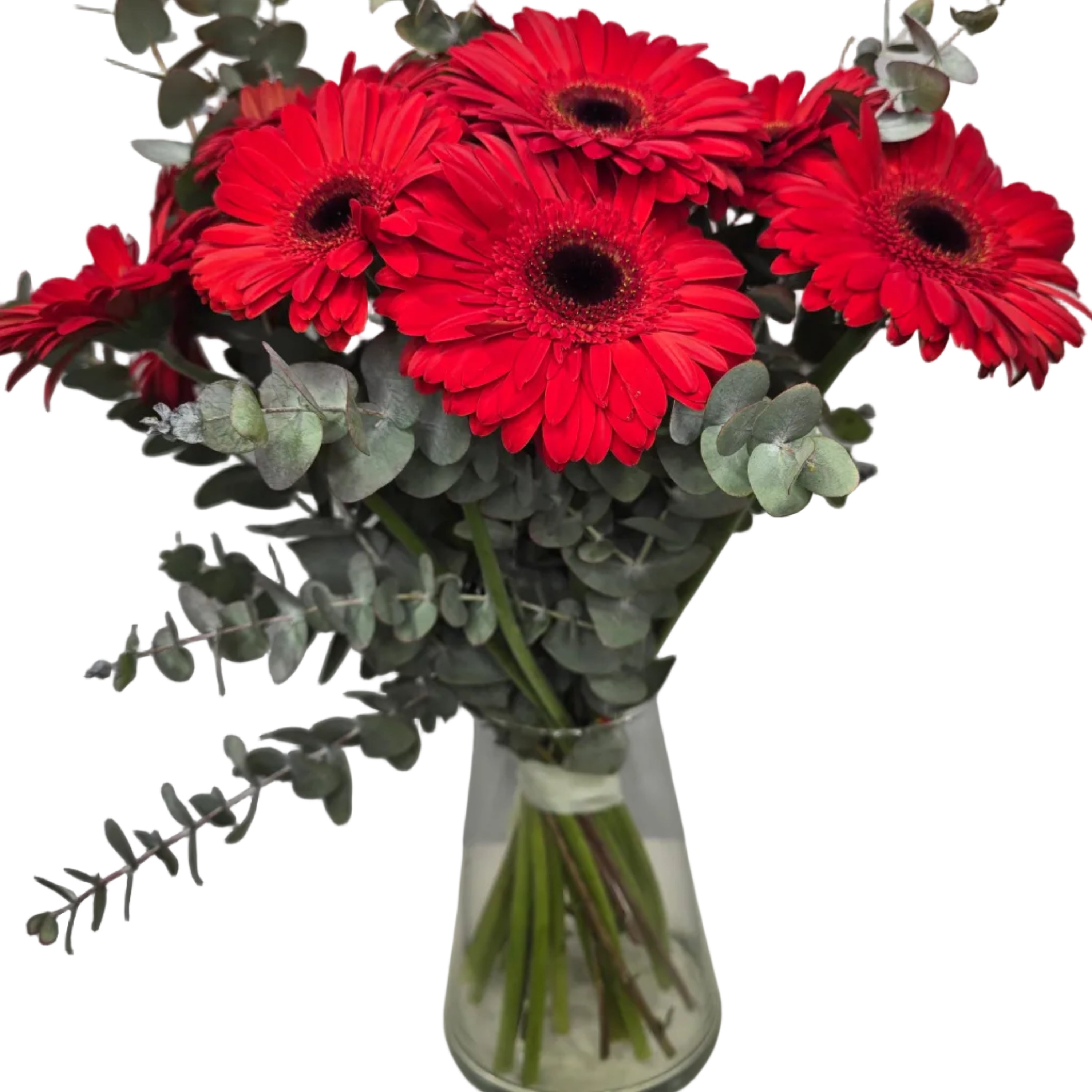 Bouquet Mono-Fleur de Gerberas Rouges