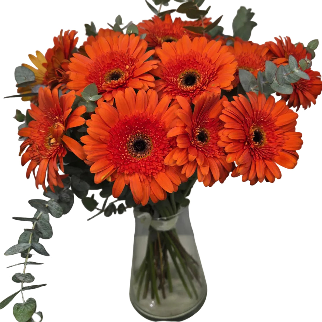 Bouquet Mono-Fleur de Gerberas Oranges