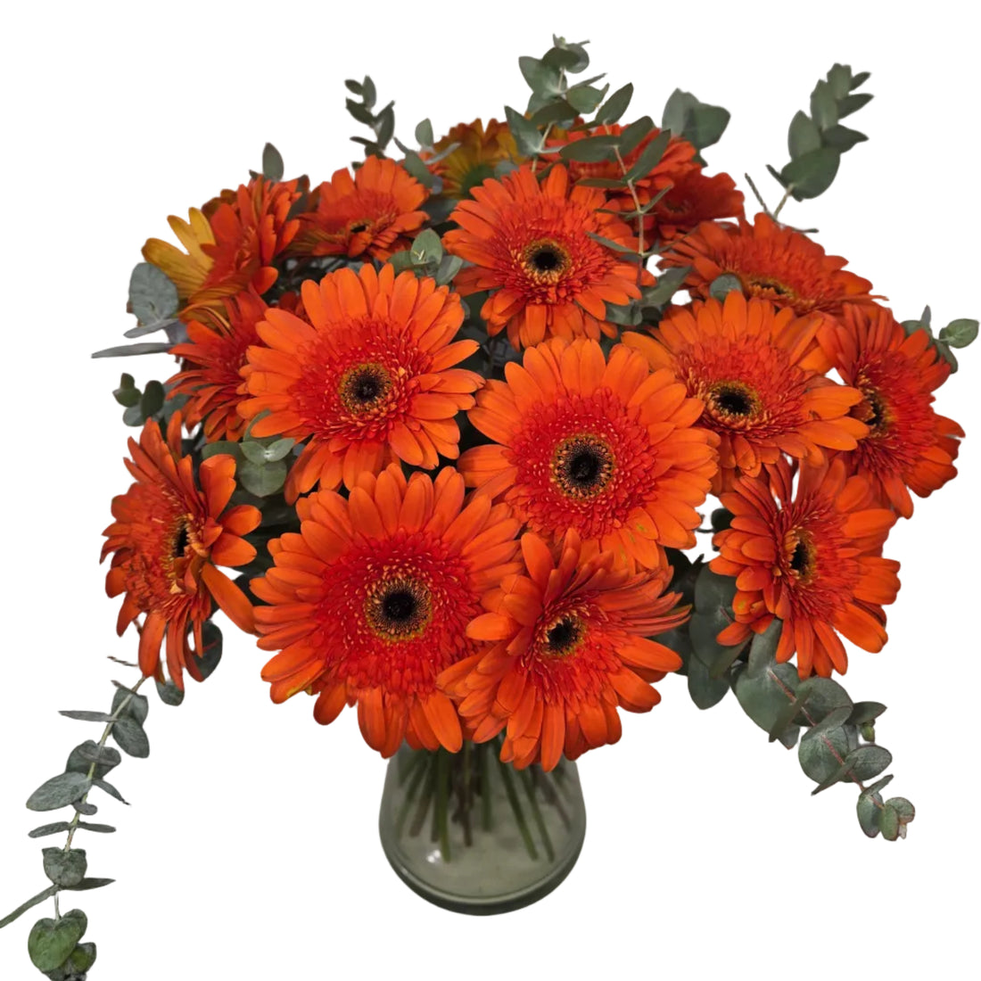 Bouquet Mono-Fleur de Gerberas Oranges