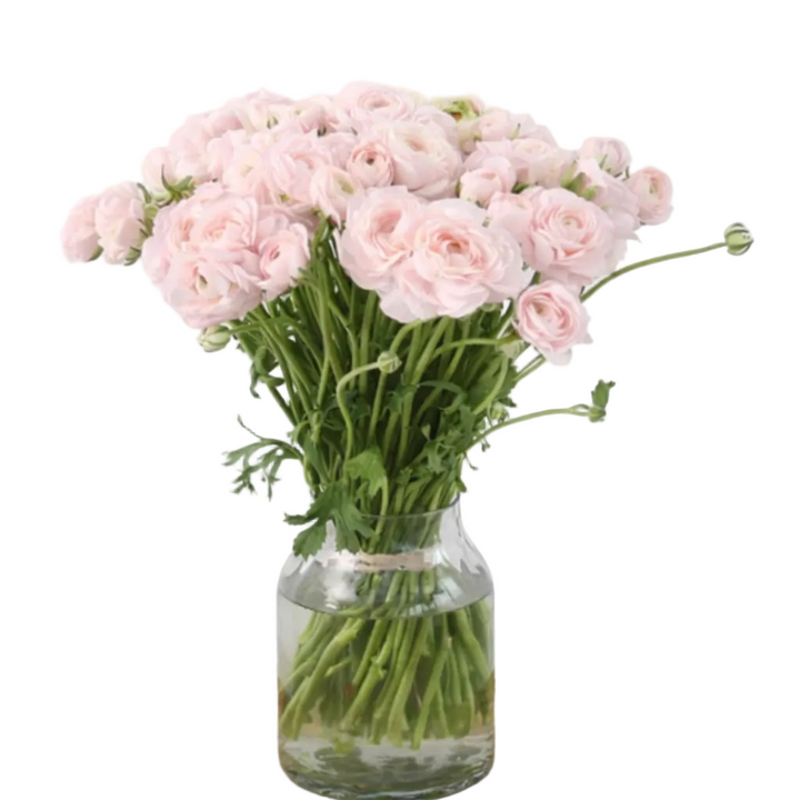 Bouquet de Renoncule Rose