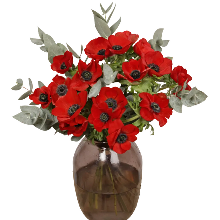 Bouquet d'Anémone Rouge