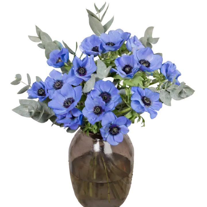 Bouquet d'Anémone Bleue