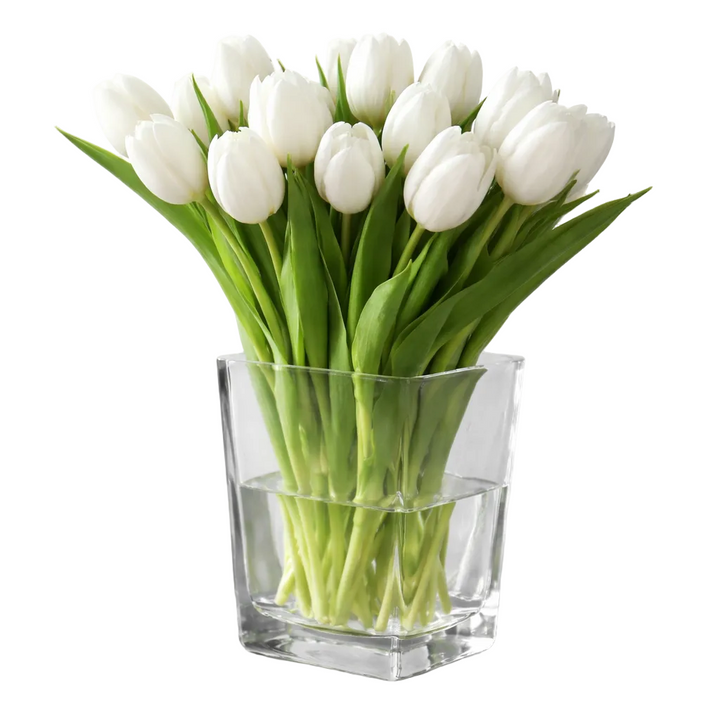 Bouquet de Tulipes Blanches