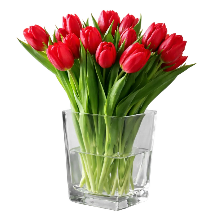 Bouquet de Tulipes Rouges