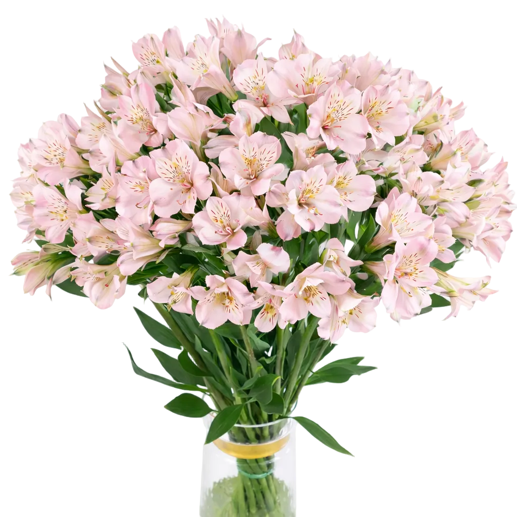 Bouquet Mono-Fleurs d’Alstroemeria Rose