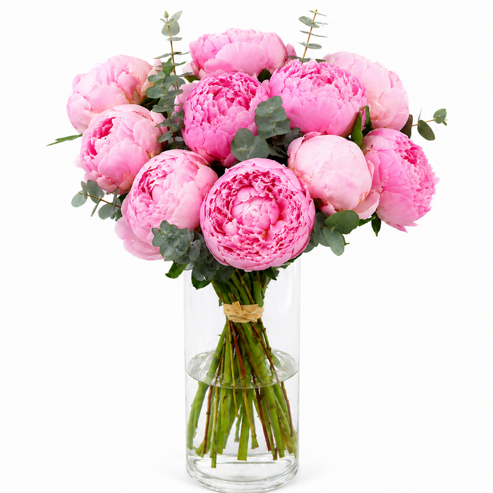 Bouquet Mono-Fleur de Pivoines Roses