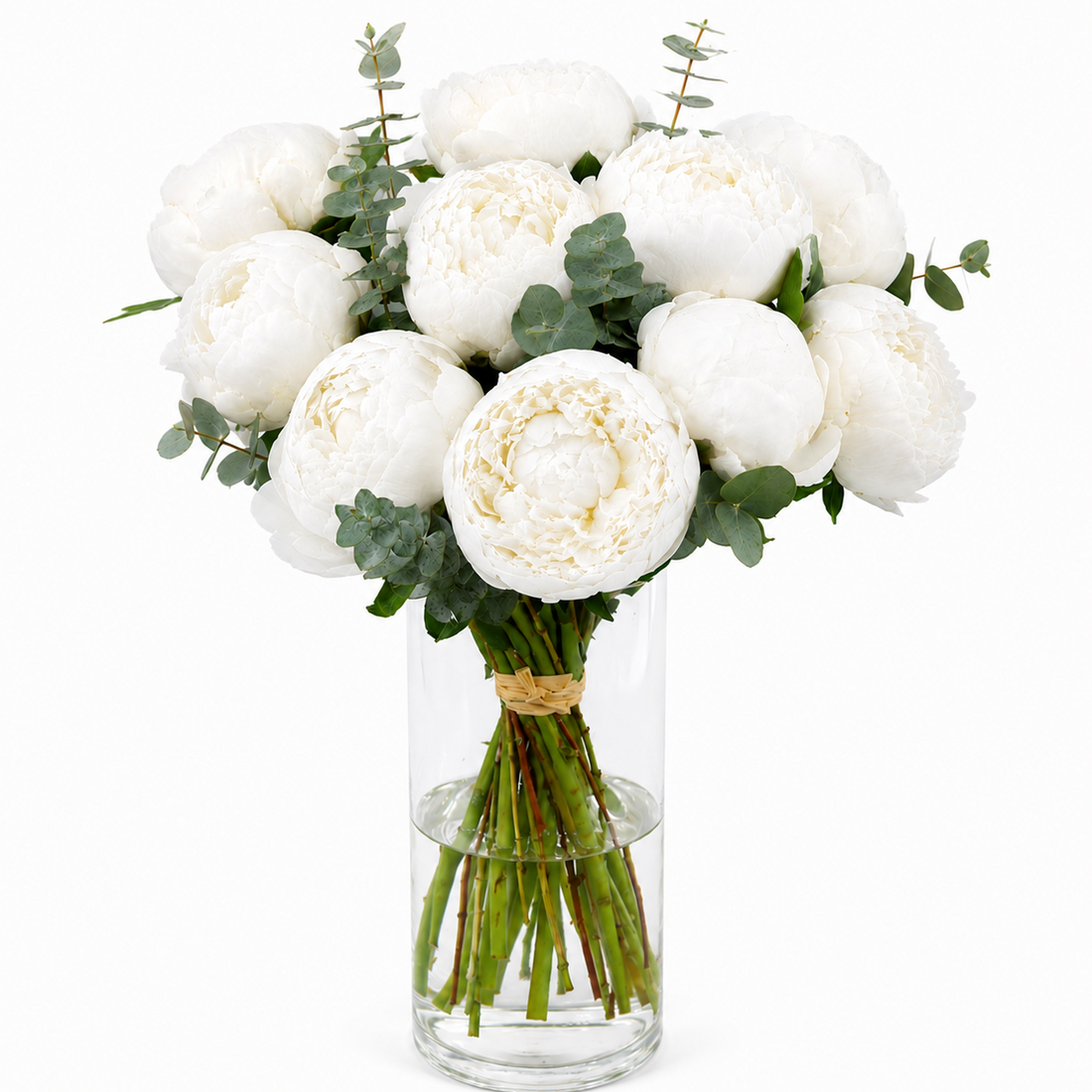 Bouquet Mono-Fleur de Pivoines Blanches