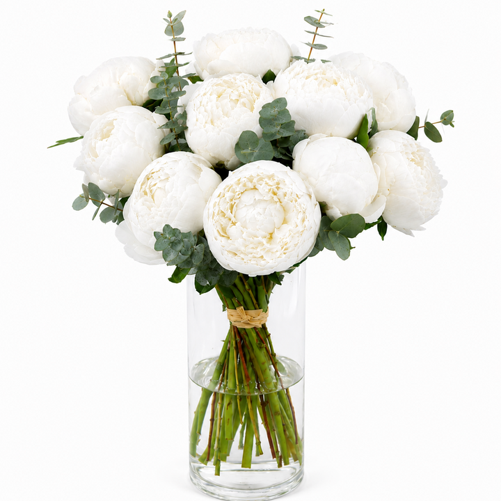 Bouquet Mono-Fleur de Pivoines Blanches