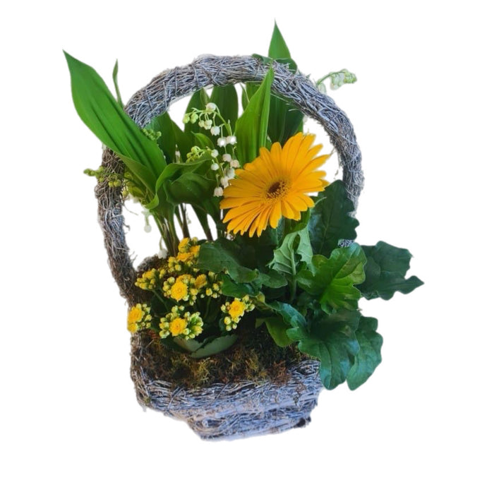 Coupe de Muguet et Gerbera