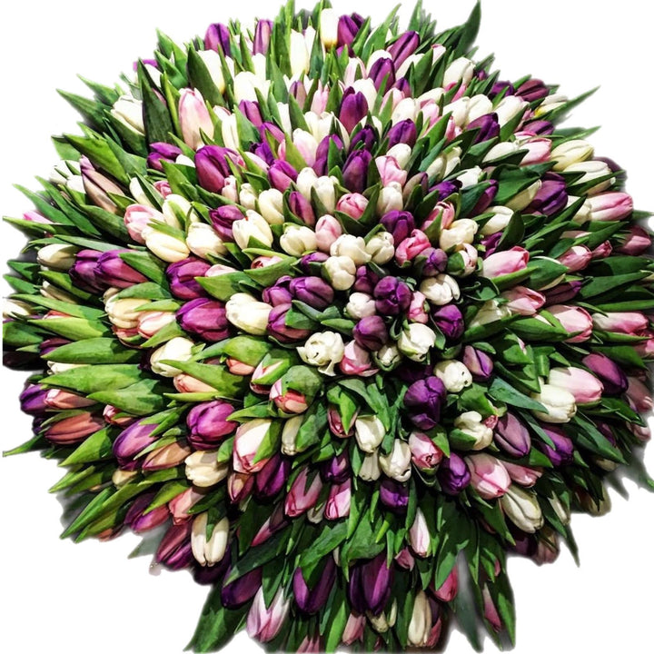Bouquet XL de Tulipes