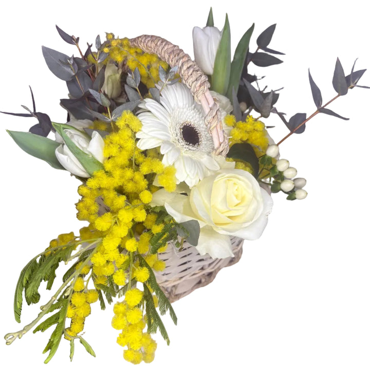 Panier de Roses Blanches & Mimosa
