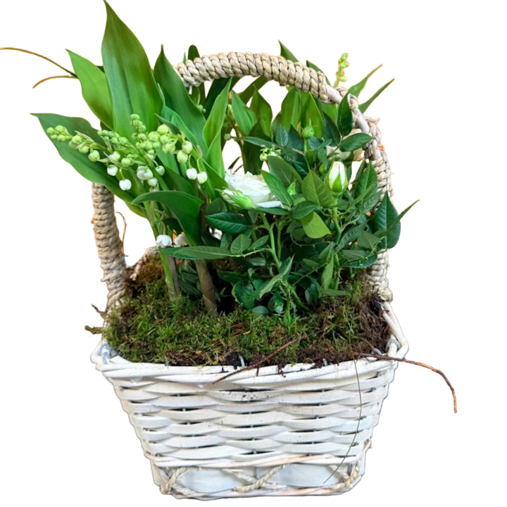 Coupe de Muguet et Rosier