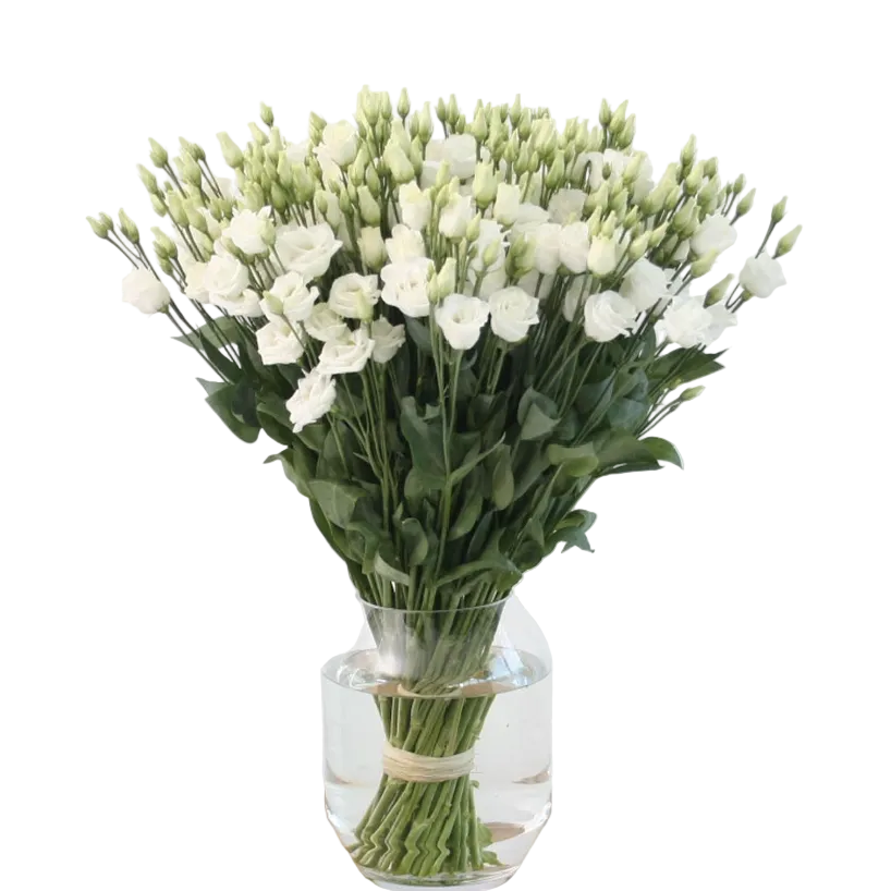 Bouquet Mono-Fleur de Lisianthus Blancs