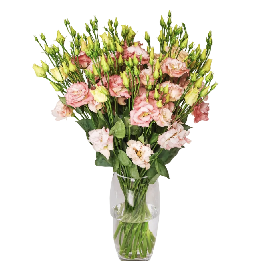 Bouquet Mono-Fleur de Lisianthus Roses