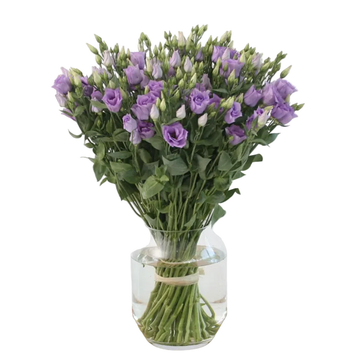 Bouquet de Lisianthus violet/parme