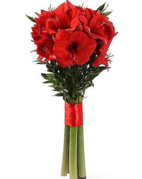 Bouquet d'Amaryllis Rouges