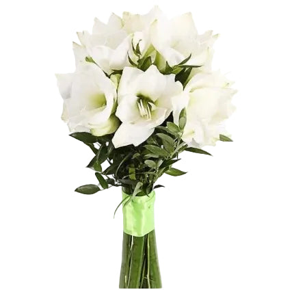 Bouquet d'Amaryllis Blancs