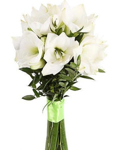 Bouquet d'Amaryllis Blancs