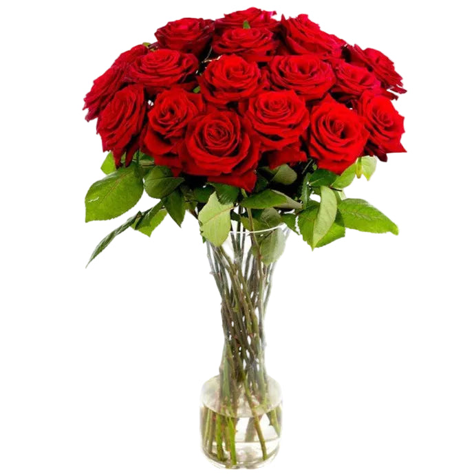 Bouquet Roses Rouges Longues
