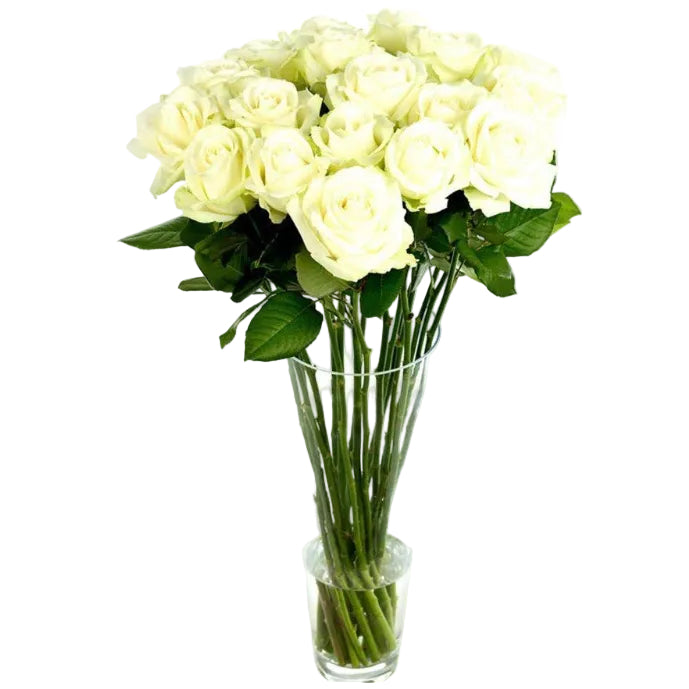 Bouquet Roses Blanches Longues