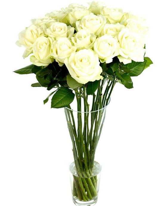 Bouquet Roses Blanches Longues