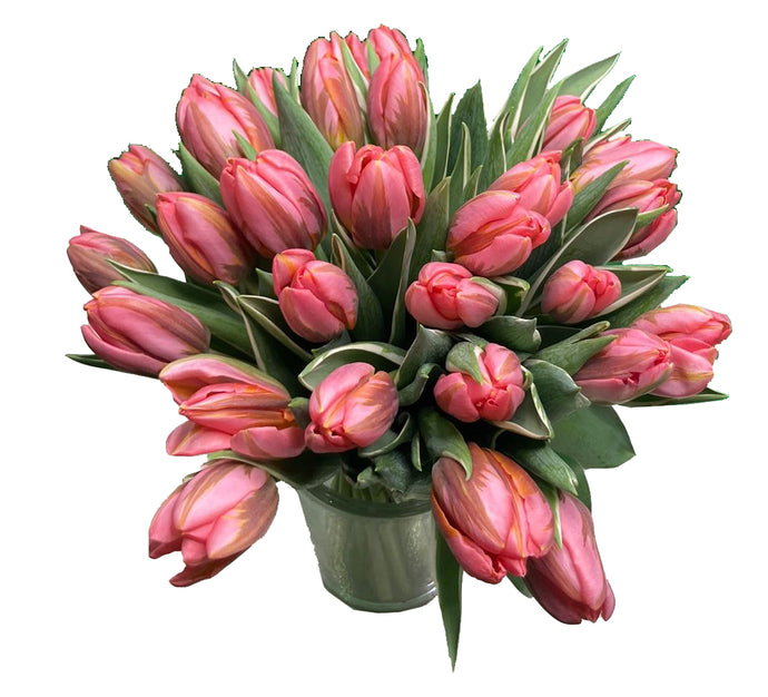 Bouquet de Tulipes Roses