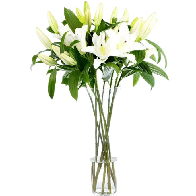 Bouquet de Lys Blancs