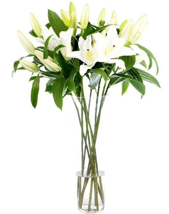 Bouquet de Lys Blancs