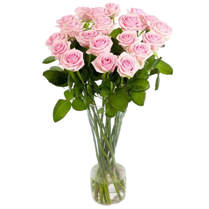 Bouquet Roses Roses Longues